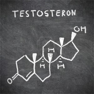 Ako si zvi testostern